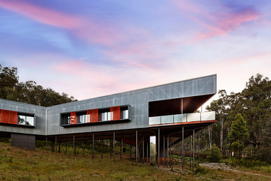 Свежая идея для дизайна: одноэтажный, серый дом в современном стиле с облицовкой из металла - отличное фото интерьера