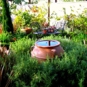 AMS Landscape Design Studios