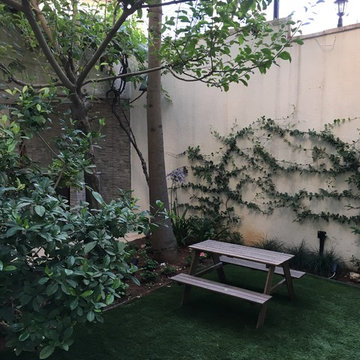 An Apartment's Small Garden