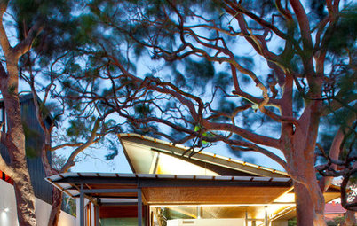 Visite Privée : Une maison construite avec amour parmi les eucalyptus