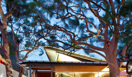 Visite Privée : Une maison construite avec amour parmi les eucalyptus