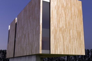 Foto della facciata di una casa marrone moderna a due piani di medie dimensioni con rivestimento in legno e tetto piano