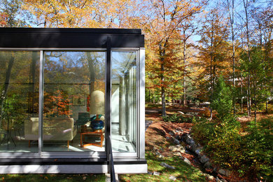 Minimalist one-story glass exterior home photo in New York