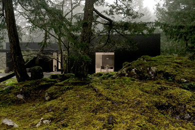 Idee per la facciata di una casa nera moderna a un piano di medie dimensioni con rivestimento in metallo