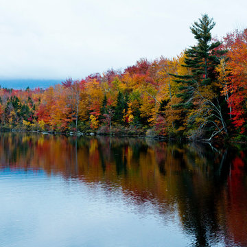 Autumn Decor & New England Road Trip