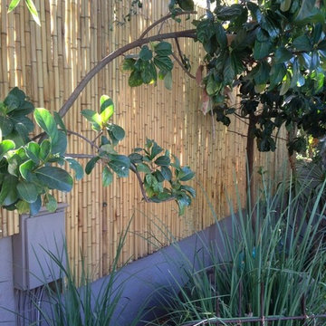 Bamboo Fencing/ Screens