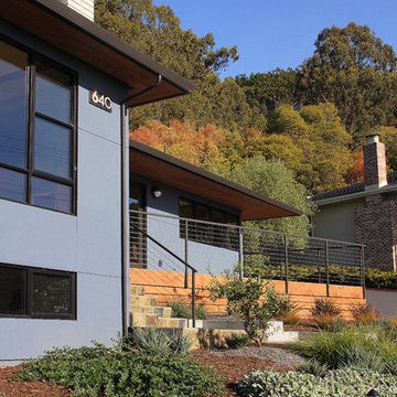 Bay Area Modern - Whole house remodel