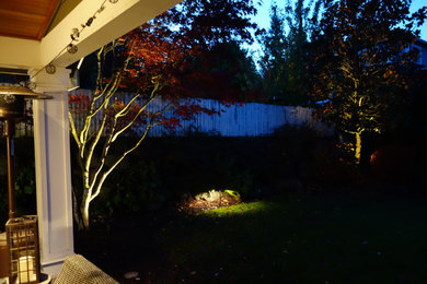 Bellevue backyard landscape lighting