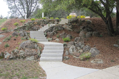 This is an example of a mediterranean landscaping in Sacramento.