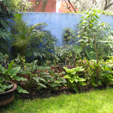 Blue Garden Wall