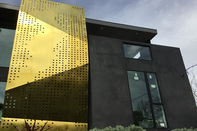 Esempio della facciata di una casa grande moderna a due piani con rivestimento in metallo