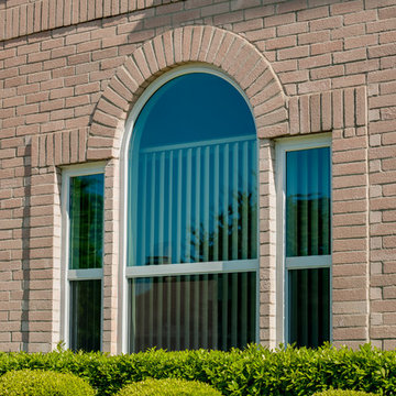 Brennan Solar Bear Windows