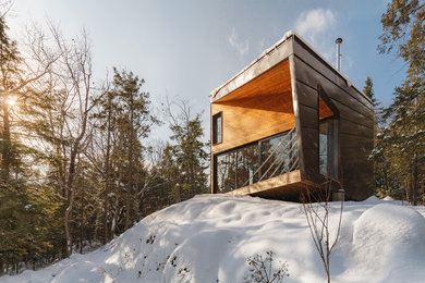Идея дизайна: маленький, двухэтажный, коричневый частный загородный дом в стиле модернизм с облицовкой из металла, односкатной крышей и металлической крышей для на участке и в саду
