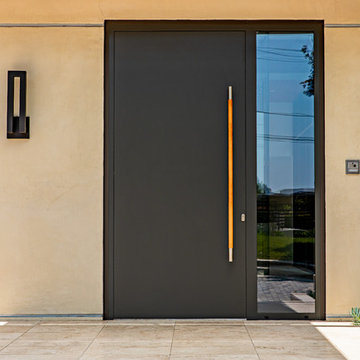 California Modern Entry Door