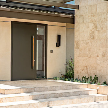 California Modern Entry Door
