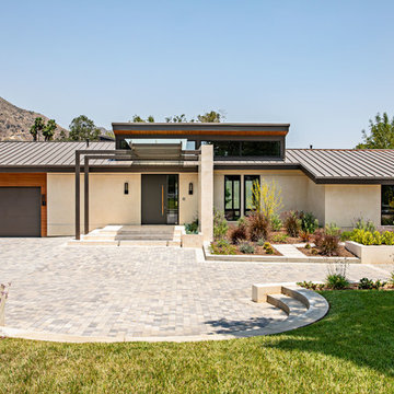 California Modern Entry Door