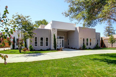 Modelo de fachada de casa gris minimalista extra grande de una planta con revestimiento de estuco y tejado plano