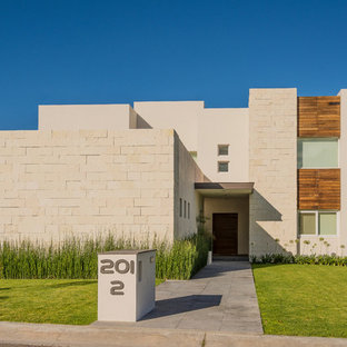 Foto della facciata di una casa contemporanea con rivestimento in legno
