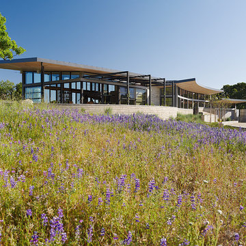 Caterpillar House