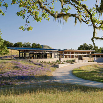 Caterpillar House