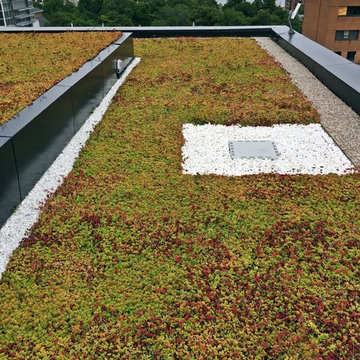 Central Library Green Roof - Halifax, NS