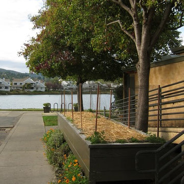 Chef's garden at Piatti Restaurant