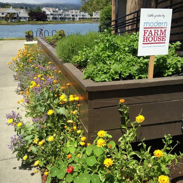Chef's garden at Piatti Restaurant