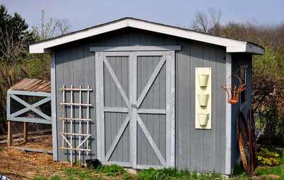 Backyard Living: The Scoop on Chicken Coops