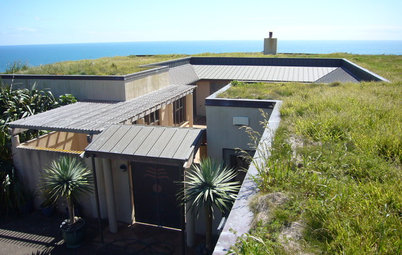 Living Roofs Put Down Roots