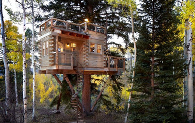 Houzz Call: Show Us Your Well-Designed Treehouse or Tree Fort!