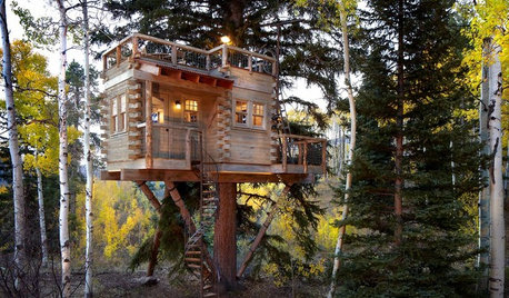 Houzz Call: Show Us Your Well-Designed Treehouse or Tree Fort!