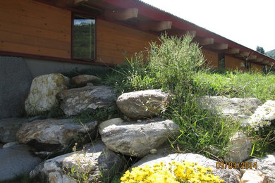 Cette image montre une façade de maison marron minimaliste en bois de plain-pied avec un toit à deux pans.