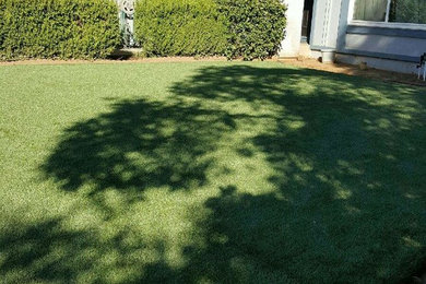 Completed Lawn Turf- Artificial grass