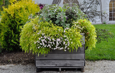 This Pro Tip Will Save You Money on Your Container Garden