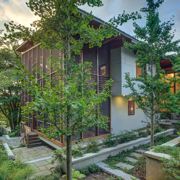 Contemporary Woodland