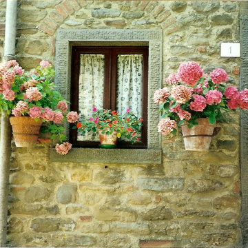 Cortona Window