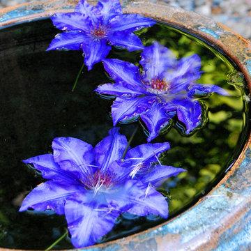 Courtyard Water Pot