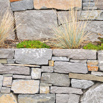 Curved Basalt Stone Wall, Plantings
