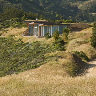 Idee per la facciata di una casa contemporanea con rivestimento in legno