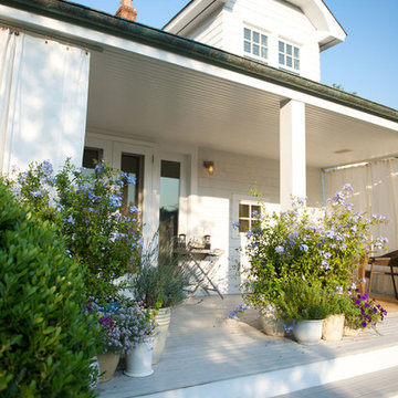 Designer’s Cottage: Backyard