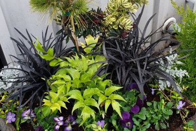 Inspiration for a tropical landscaping in Portland.