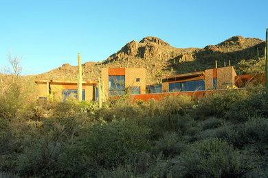 Example of a trendy metal exterior home design in Phoenix