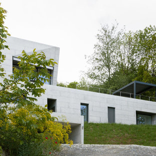 Immagine della facciata di una casa moderna a due piani con rivestimento in cemento e tetto piano