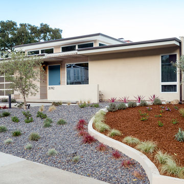drought tolerant landscaping at midcentury exterior