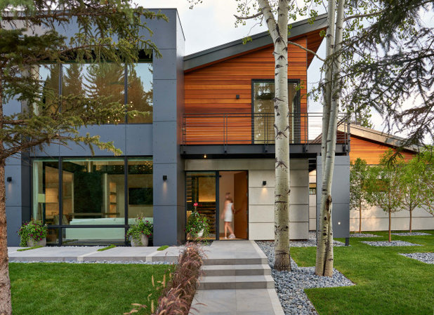 Contemporary Exterior by Connect One Design
