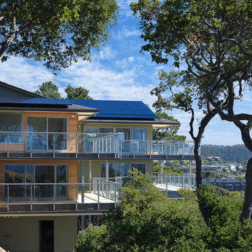 Eco-friendly Modern in Tiburon