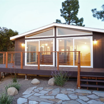 Exterior Back yard