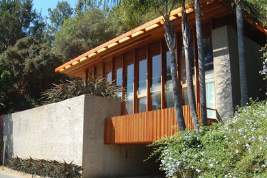 Example of a mid-sized minimalist brown two-story wood exterior home design in Los Angeles