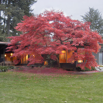 Exterior of Belluschi House