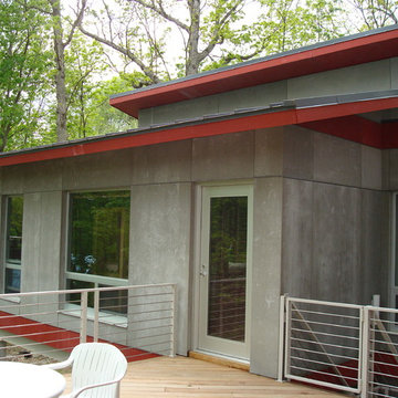 Exterior of Mid-Century Modern Healthy Home